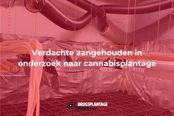 Hoboken - Verdachte aangehouden in onderzoek naar cannabisplantage